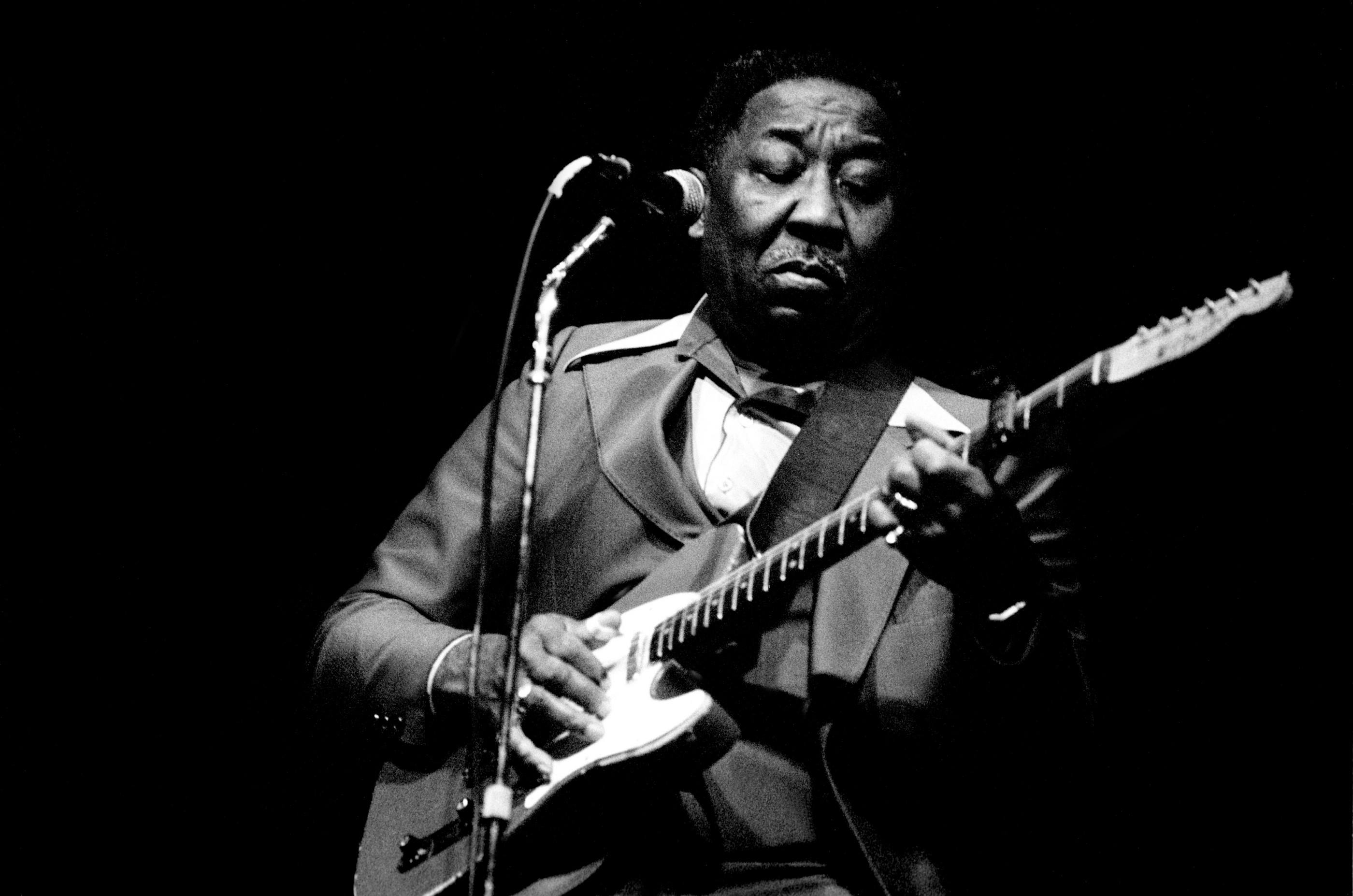 Muddy Waters